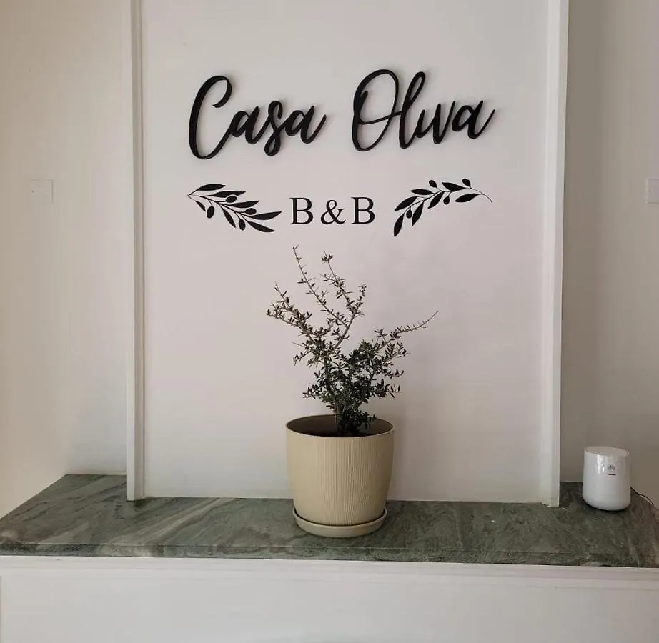 Casa Oliva B & B Mendoza Bed and breakfast